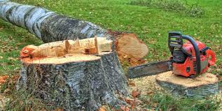 Best Lot and Land Clearing  in Harrison, NJ
