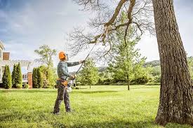 Best Lawn Pest Prevention  in Harrison, NJ